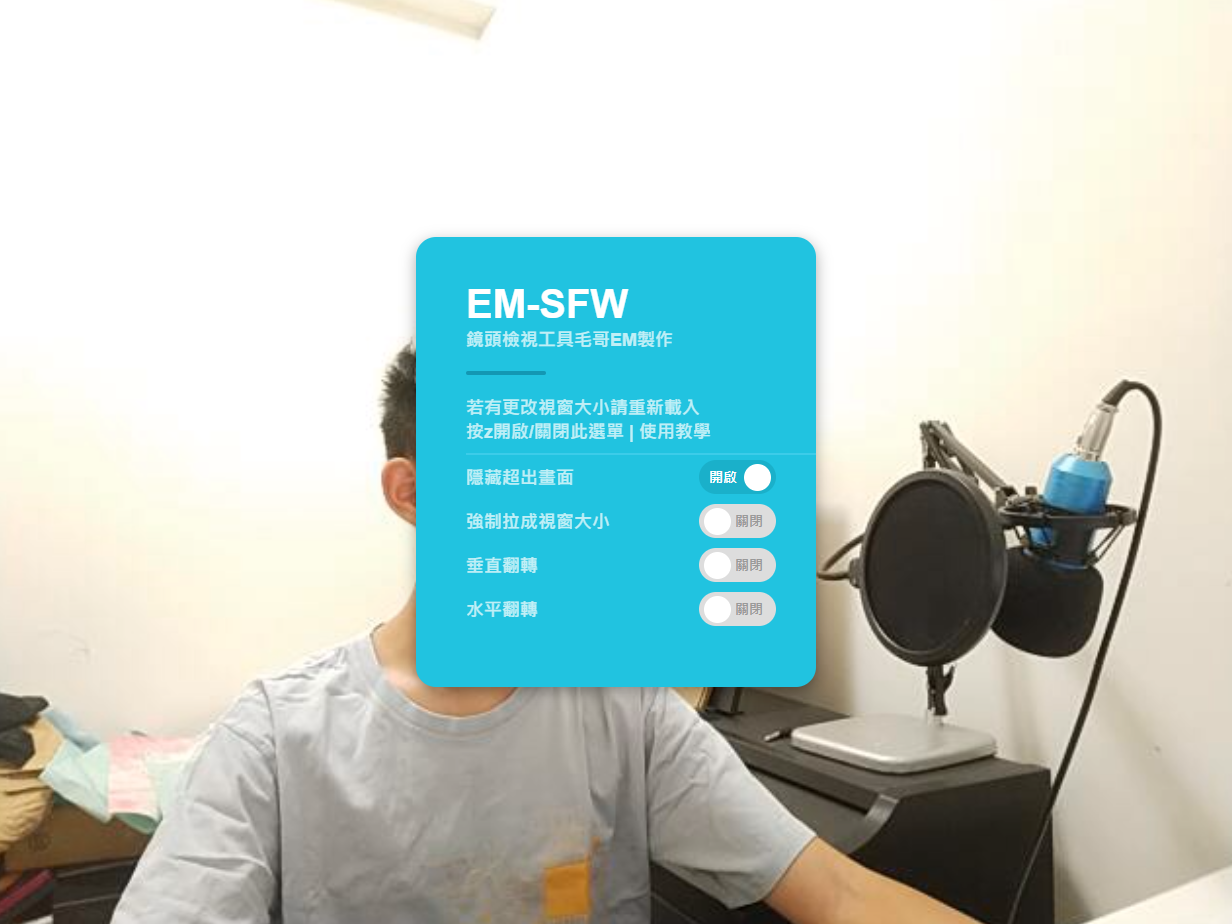 EM-SFW介面