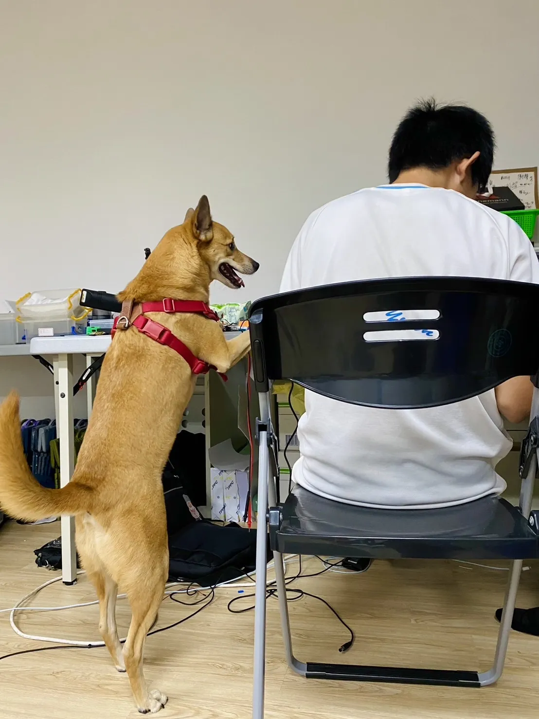最後趕工