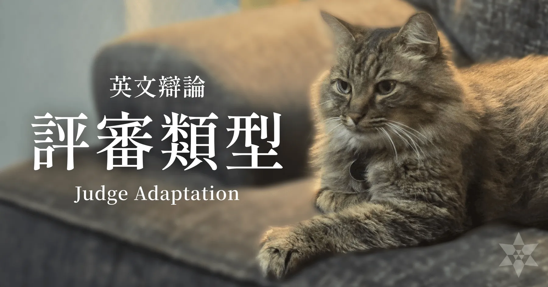 辯論技巧：搞懂裁判類型，讓你比賽場上少走冤枉路