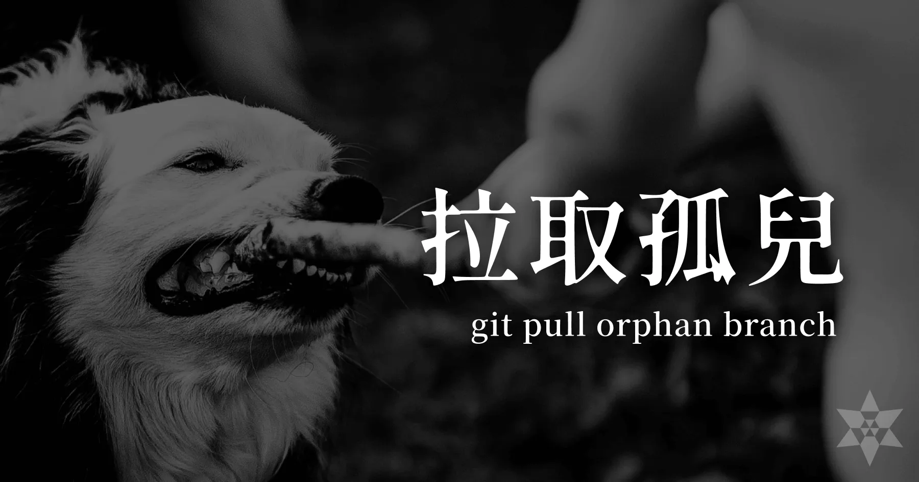 Git force push orphan branch 其他人不能 pull 怎麼辦？