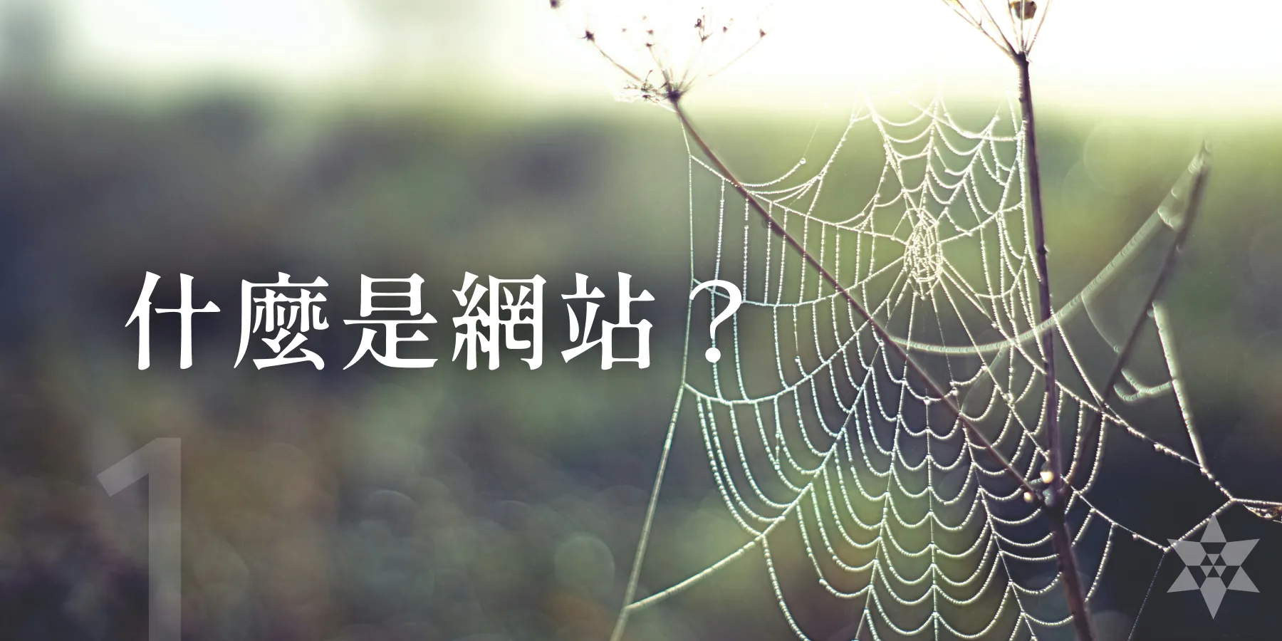 什麼是網站？網頁基本原理