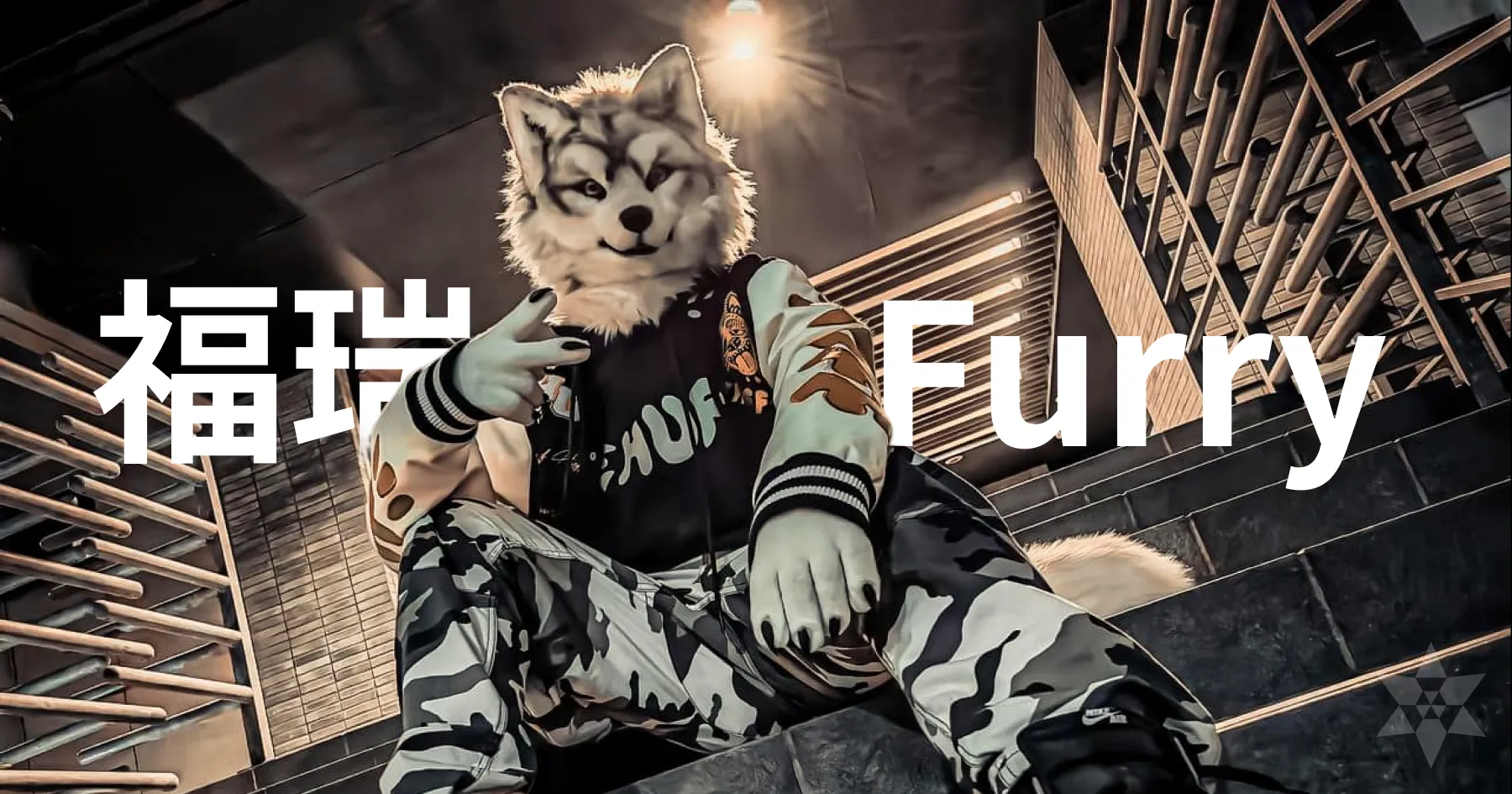 甚麼是獸迷文化 (Furry)？認識不獸控制的獸圈