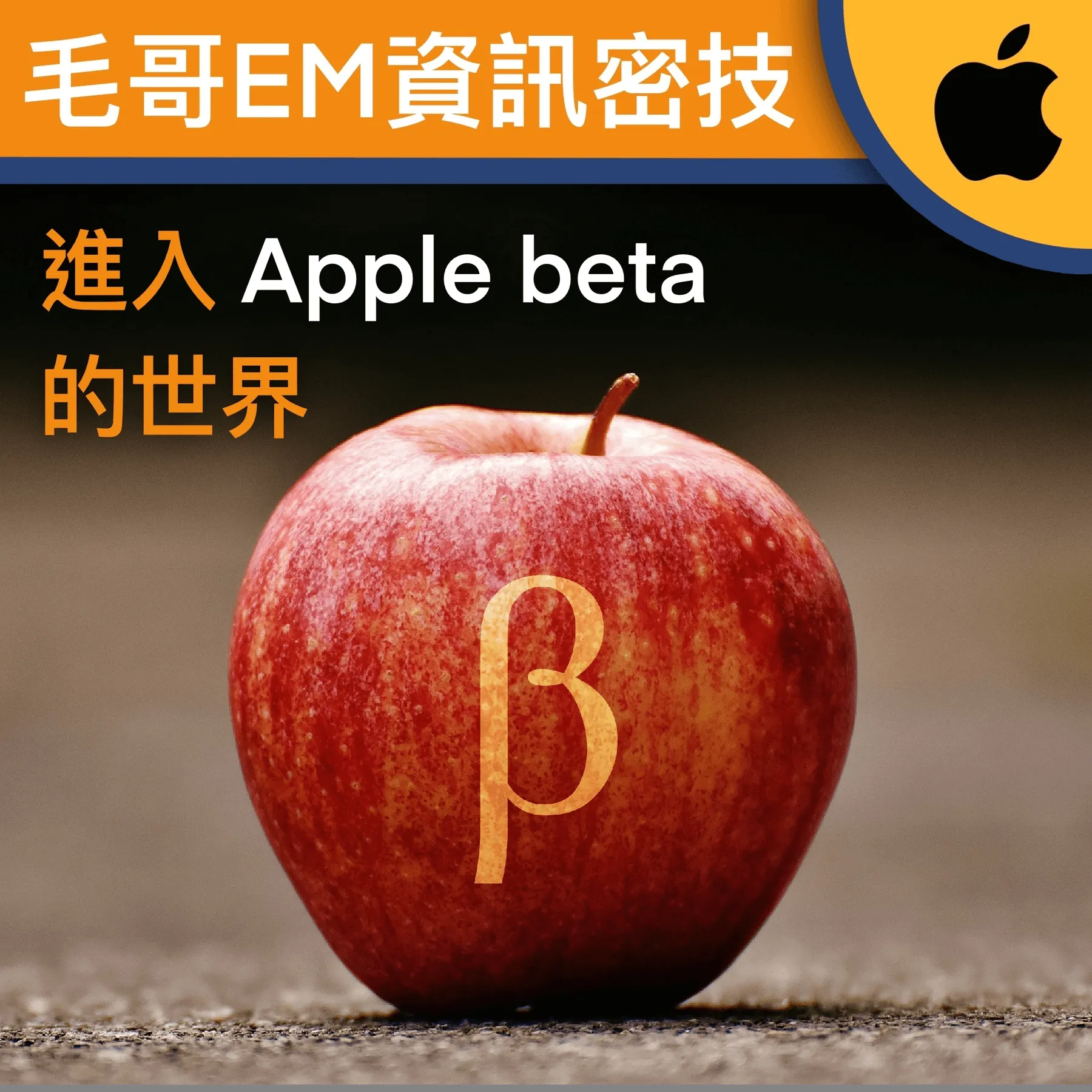 【iOS】進入/退出 Apple Beta 的世界 搶先體驗新功能