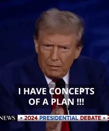 I have concepts of a plan.