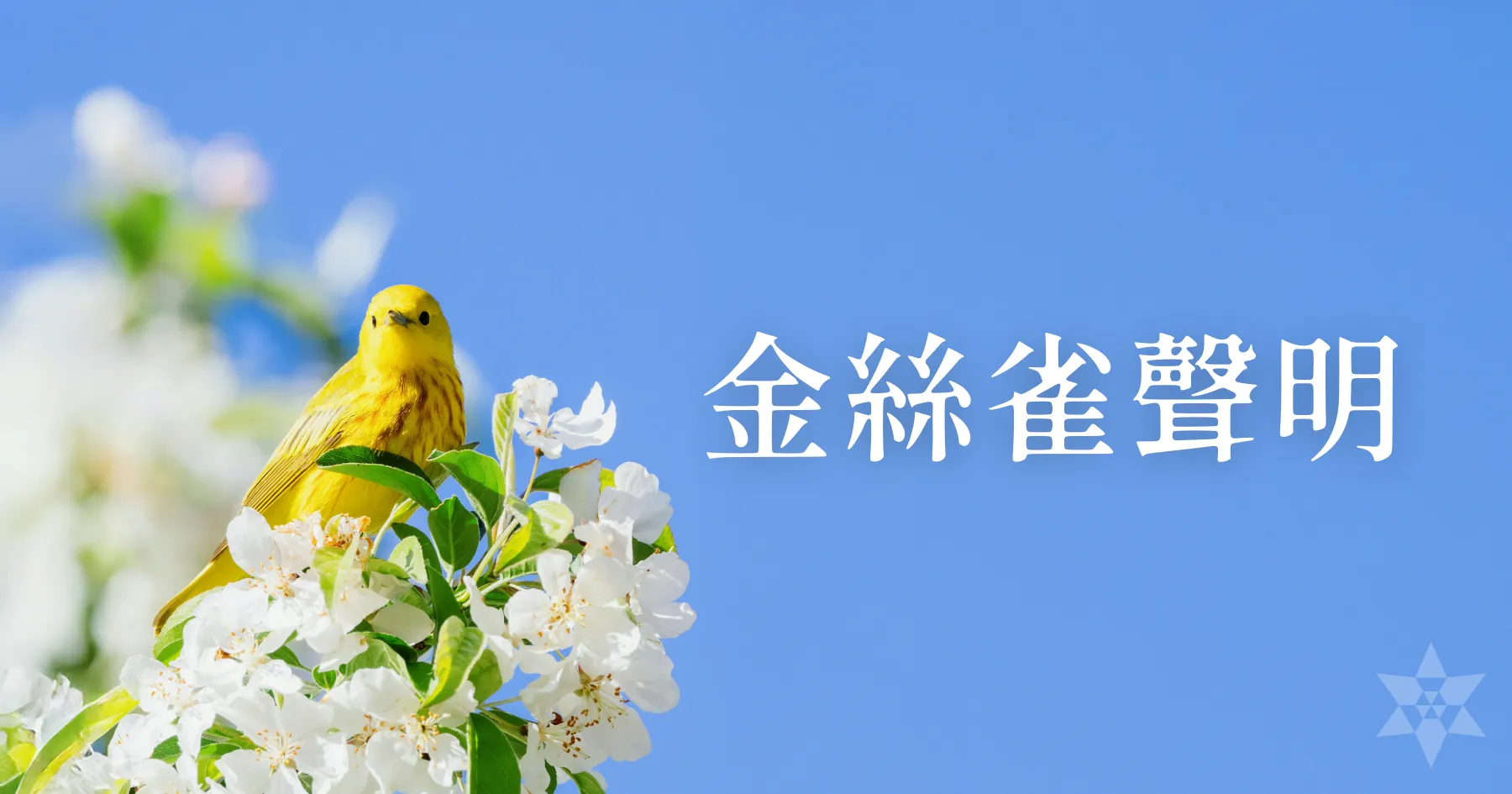 金絲雀聲明