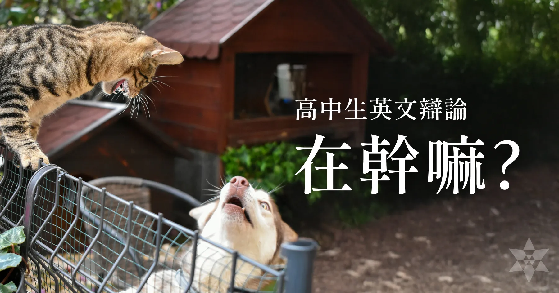 高中生英文辯論在幹嘛?