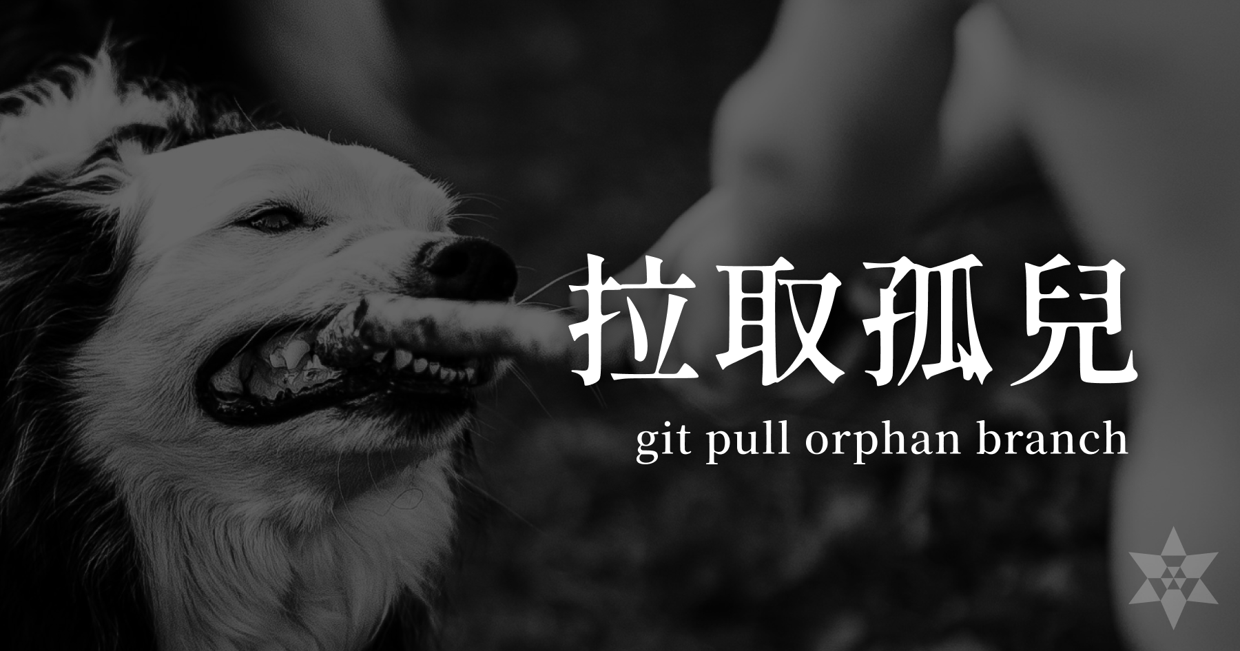 Git force push orphan branch 其他人不能 pull 怎麼辦?
