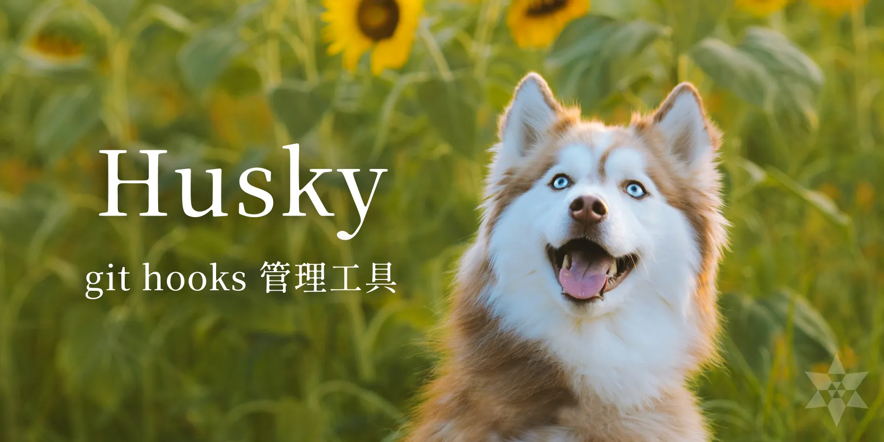 Husky 教學 - 逼你的團隊給我 Format 完再 Commit
