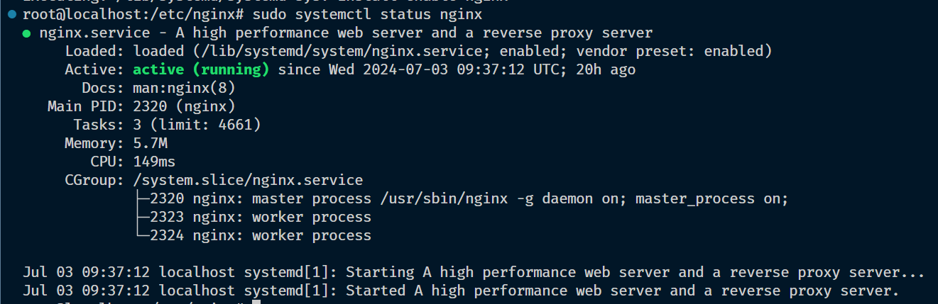 nginx status