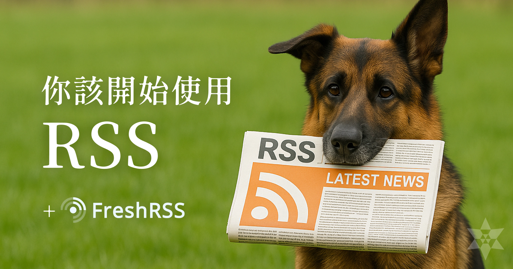 你應該開始使用 RSS!Zeabur + FreshRSS 架設教學