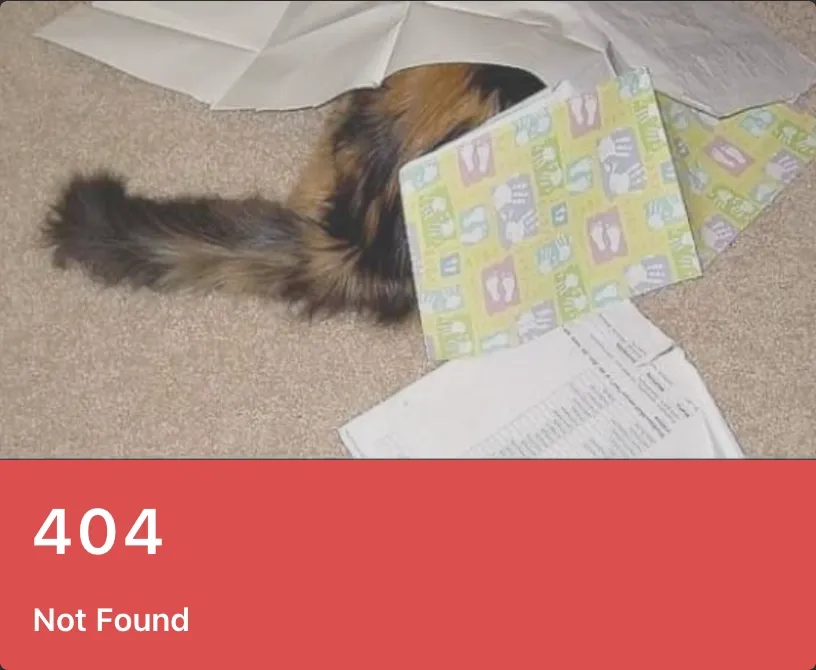 狀態碼可以讓瀏覽器和工程師輕鬆的知道頁面為什麼壞了。四開頭的你基本上都不會想看到。